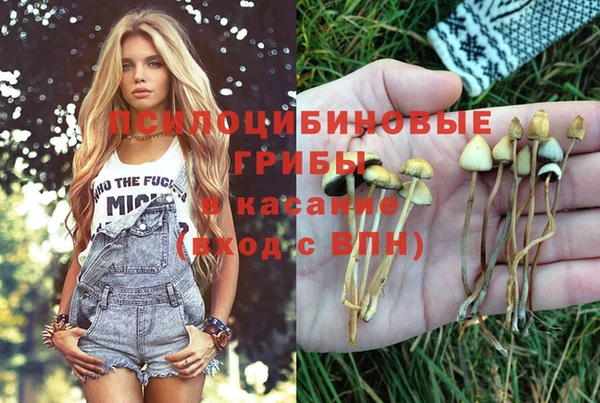 мескалин Абинск