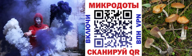 Псилоцибиновые грибы Psilocybe  даркнет сайт  Тбилисская 
